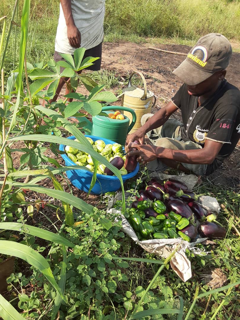 Agriculteur et production locale pour les cantines scolaires